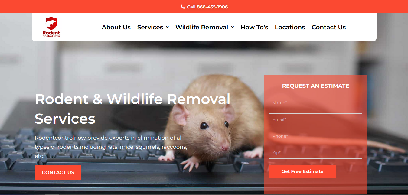Rodent & Wildlife Removal Services